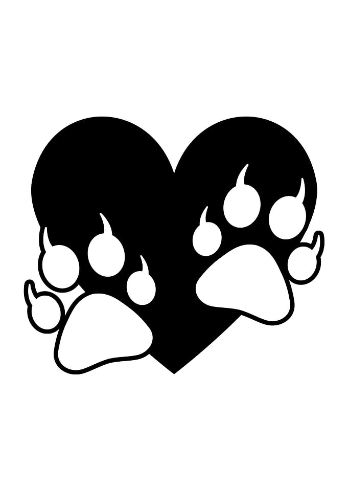 Dog Paw Heart Love