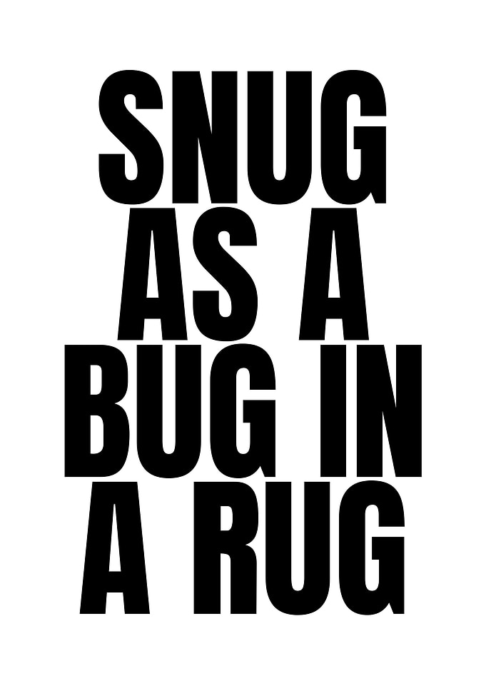 Snug as a bug in a rug