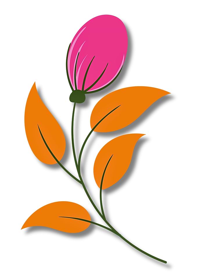 Stylized Floral Illustration with Pink Bud