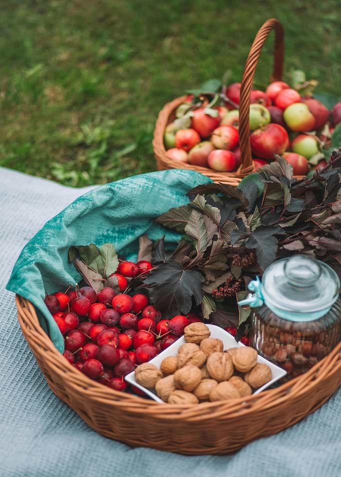 Autumn Harvest Picnic Still Life