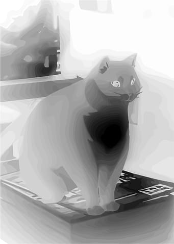 Monochrome Cat Portrait