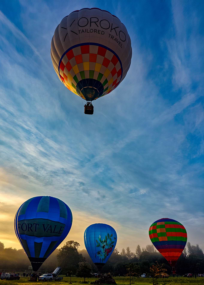 Hot Air Balloons at Sunrise