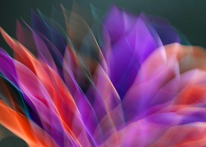 Abstract Floral Motion Blur
