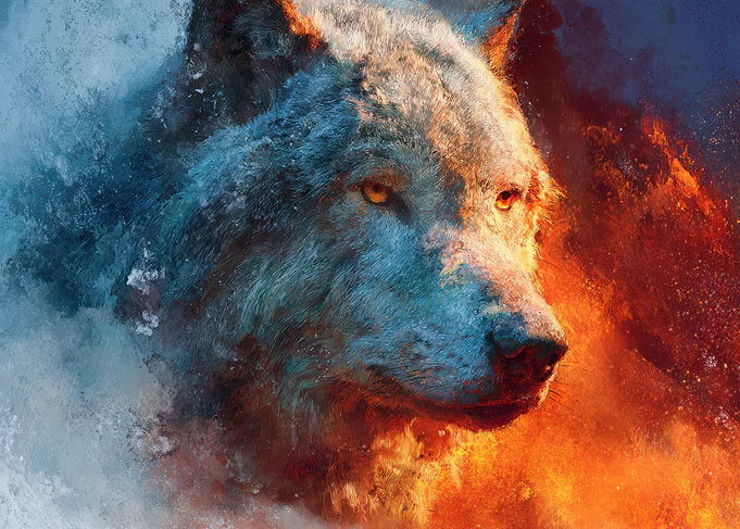 Wolf Portrait: Fire and Ice