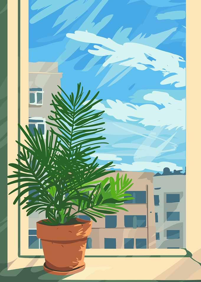Indoor Plant by the Window