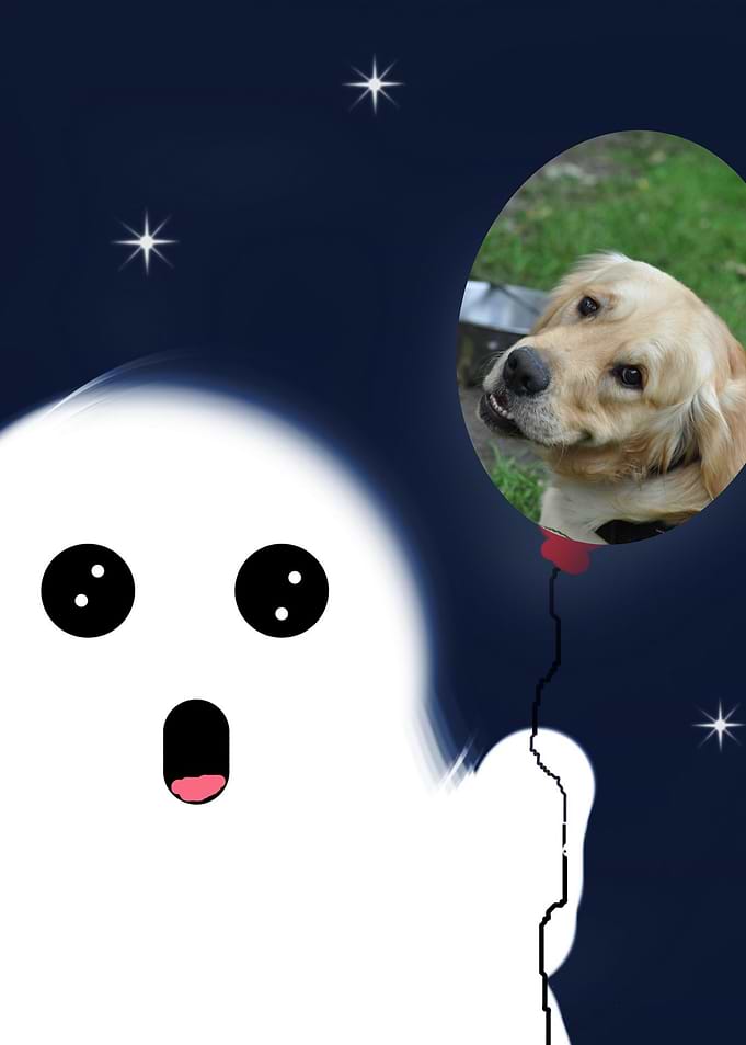 Ghost and Dog Balloon in Night