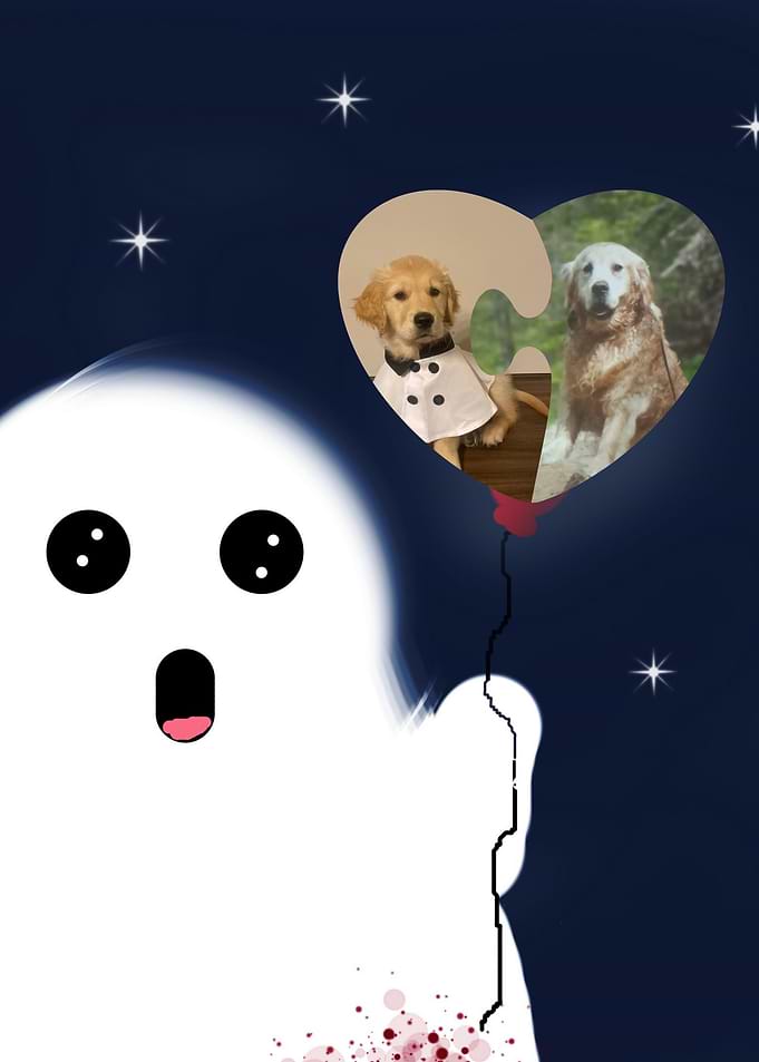 Ghost holding heart-shaped dog balloon