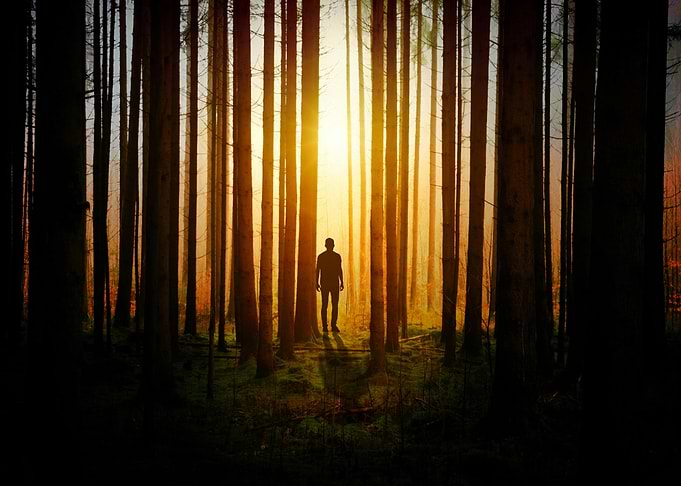 Silhouette in Forest at Sunset