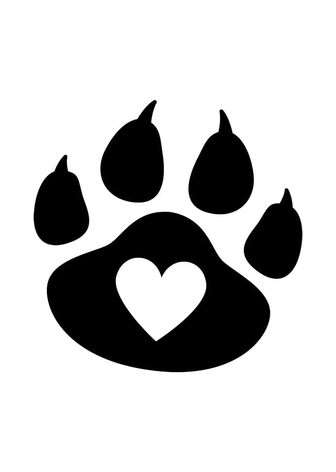 Paw Print with Heart