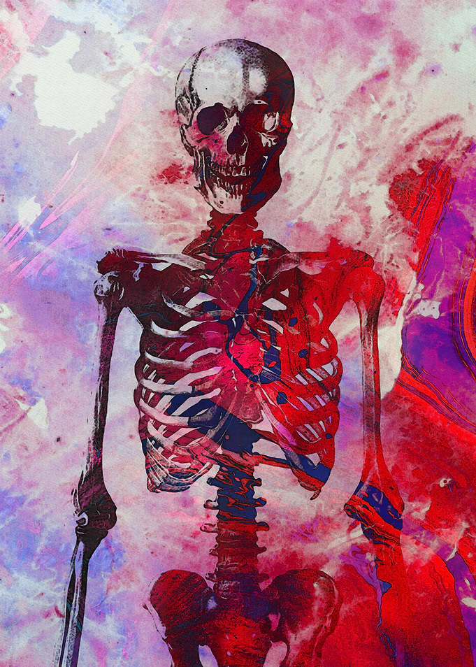 Colorful Skeleton Art