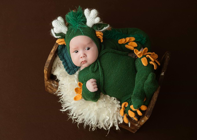 Baby in Dragon Costume