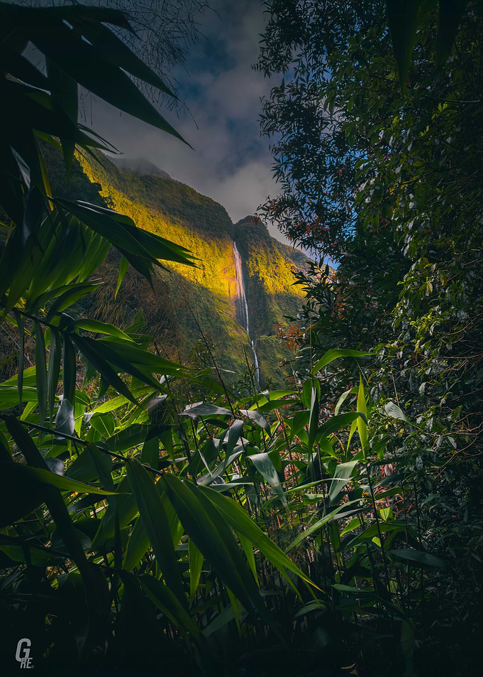 Tropical Waterfall Landscape