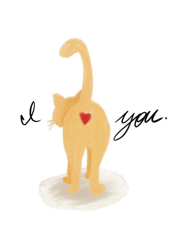 Cat with Heart - I Love You