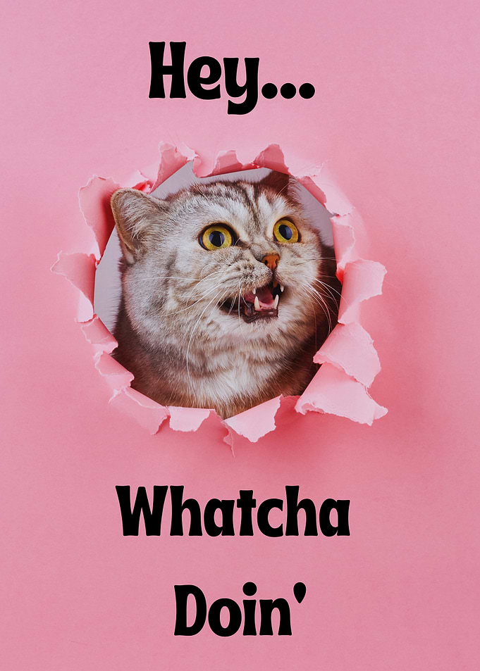 Funny Cat Peeking Through Pink Hole