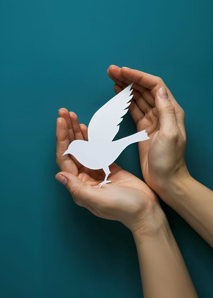 Hands Holding White Paper Dove