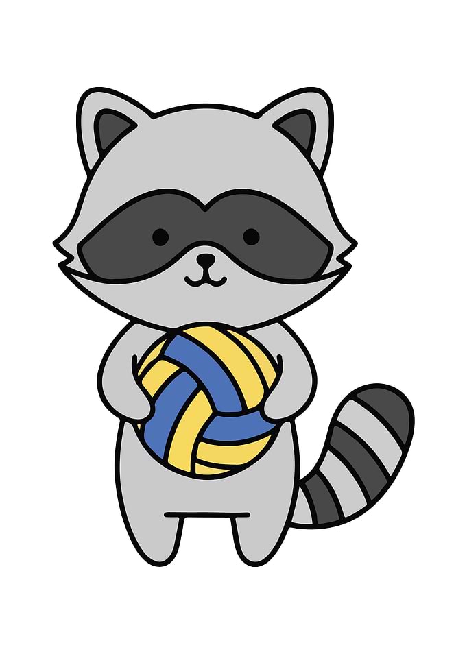 Cartoon Raccoon with Volleyball