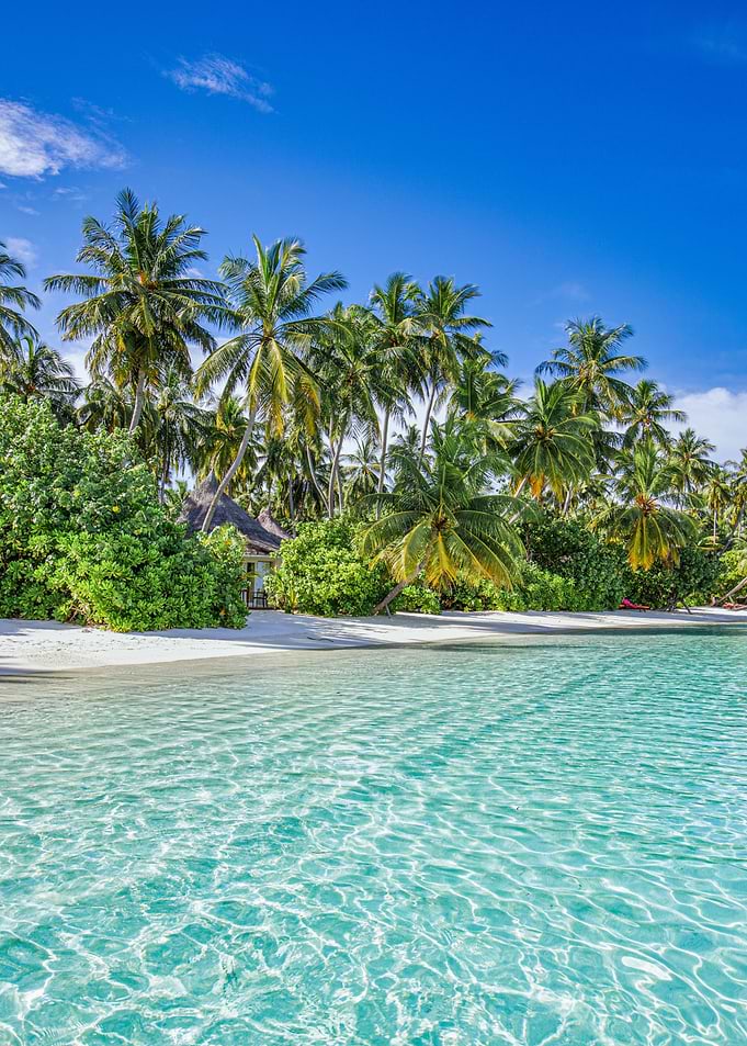 Tropical Beach Paradise with Clear Water