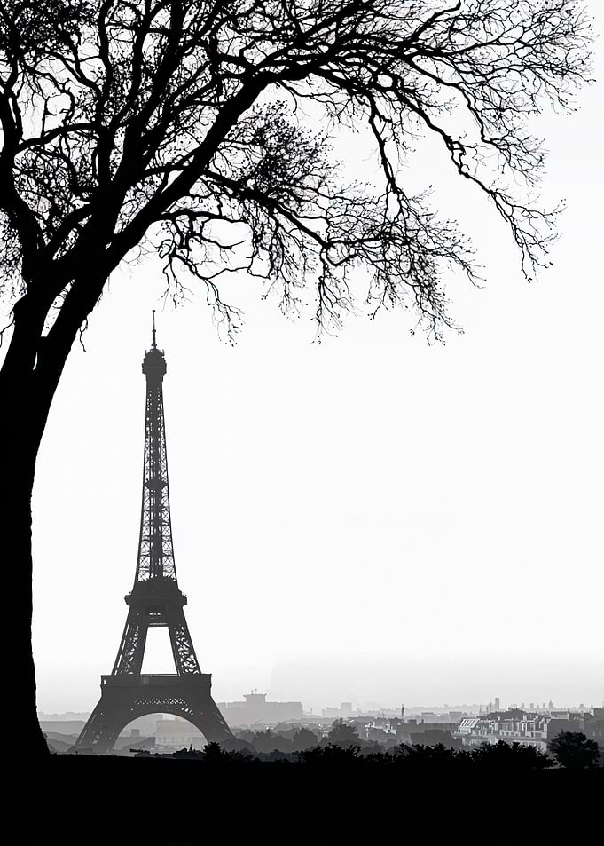 Eiffel Tower Silhouette with Tree