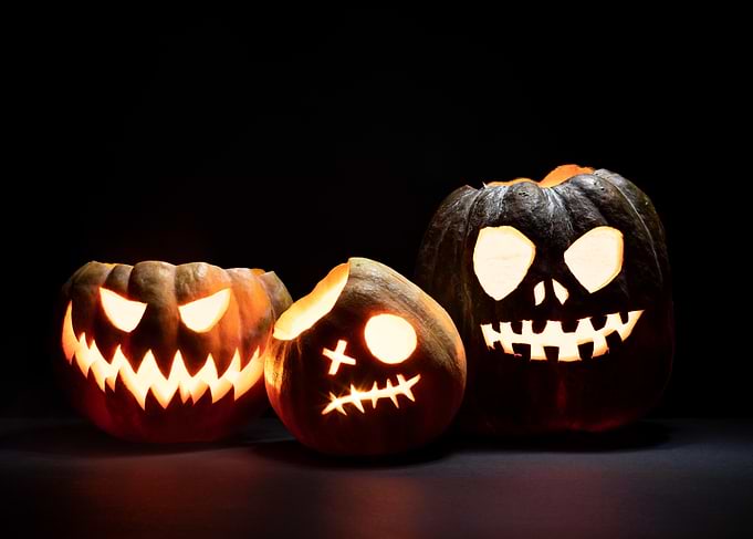 Three Carved Halloween Pumpkins on Black