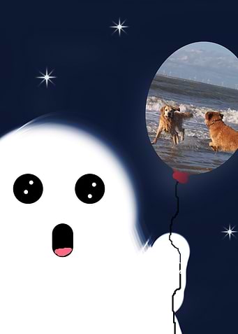 Ghost with dogs on the beach
