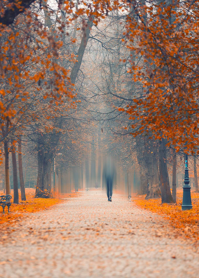 Autumn Walk in the Park, Poland