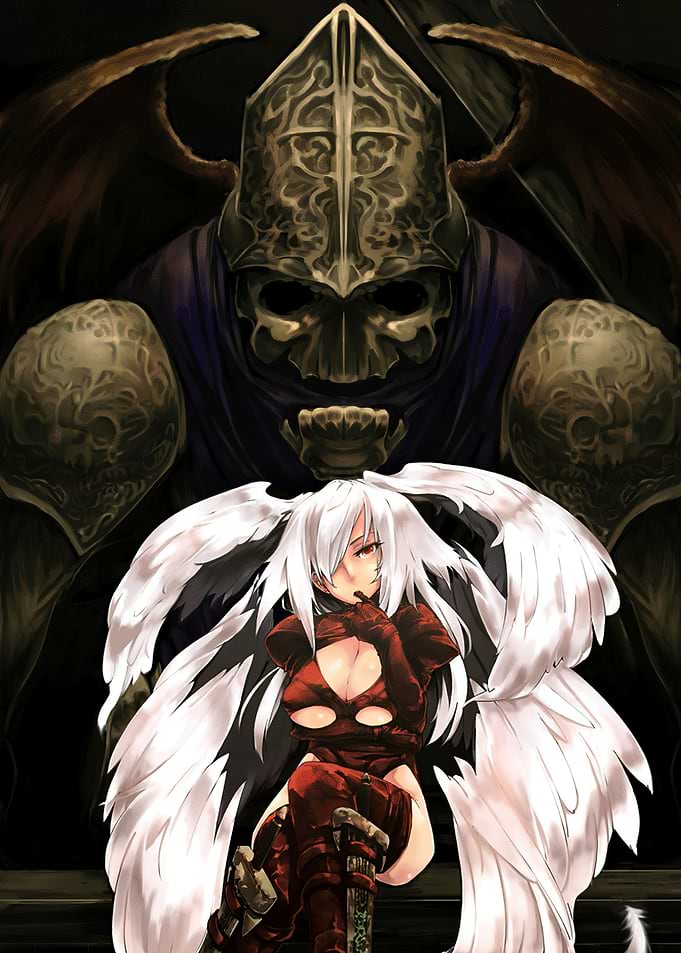 Anime Angel and Dark Knight