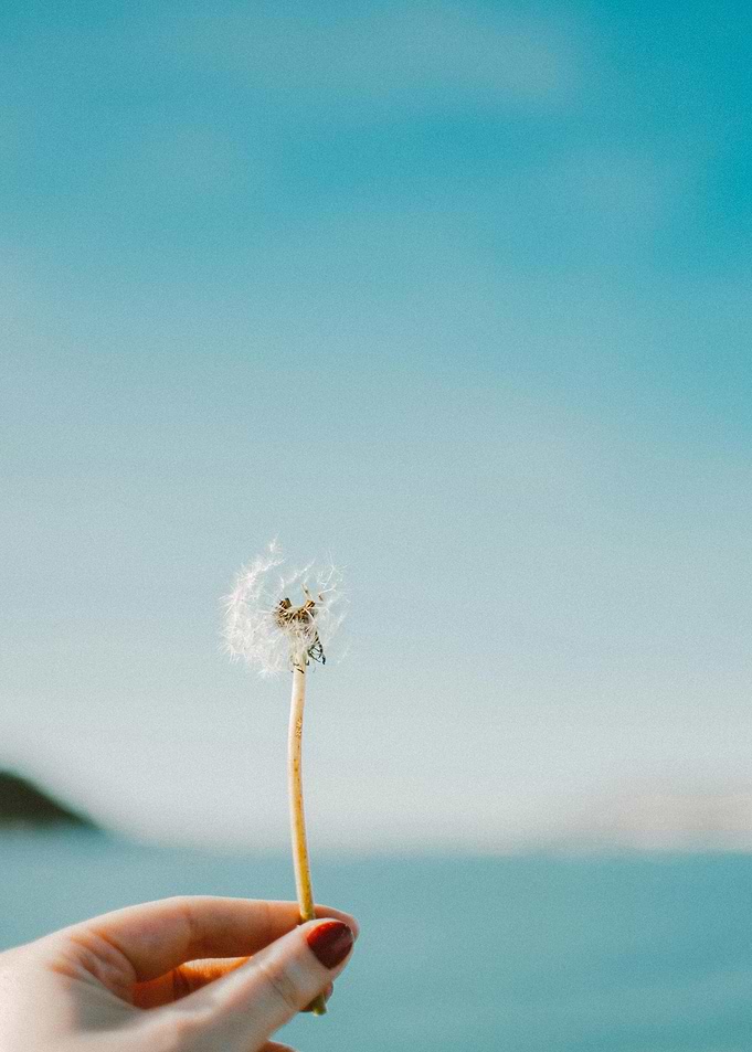 Dandelion in Hand Against Blue Sky
