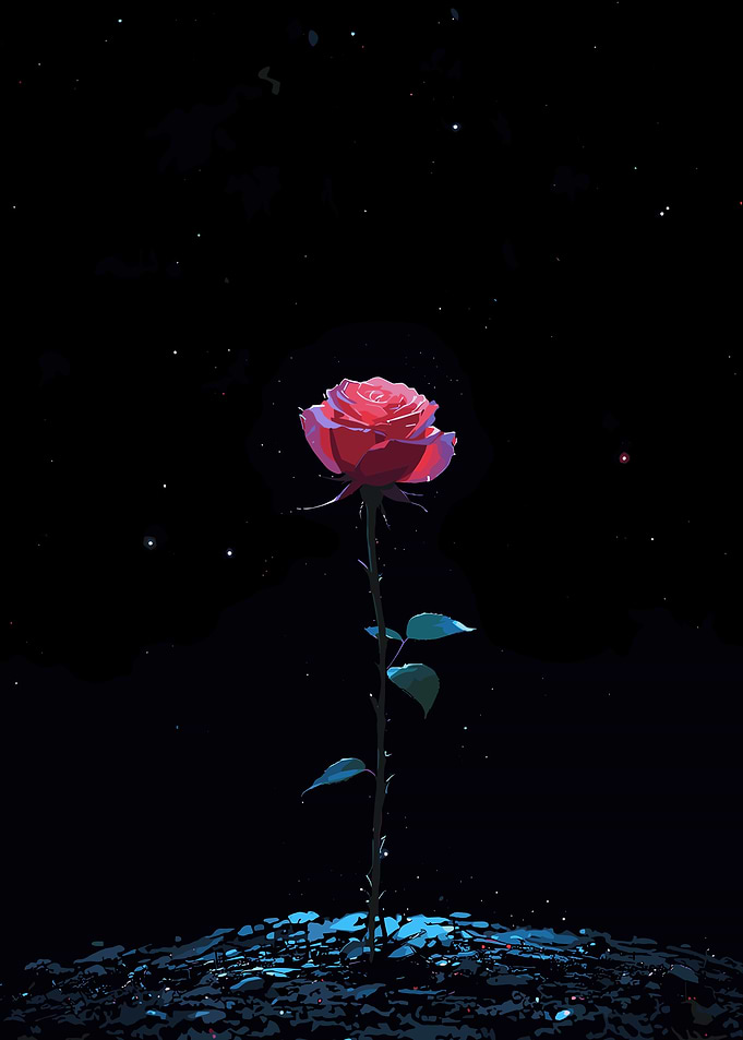 Single Rose in Dark Space