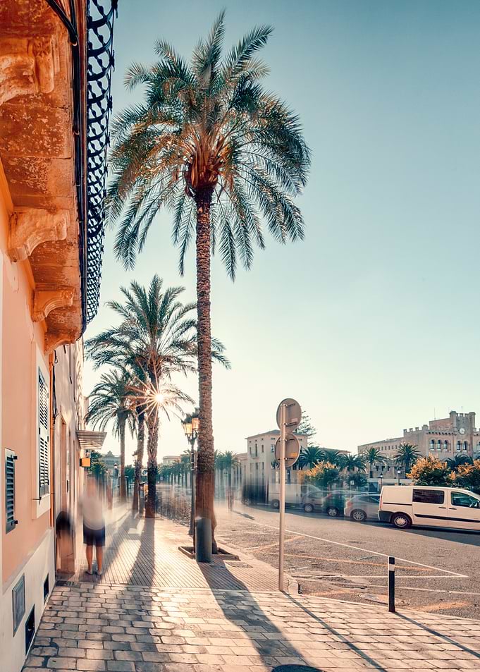 Palm Tree Lined Street in Menorca