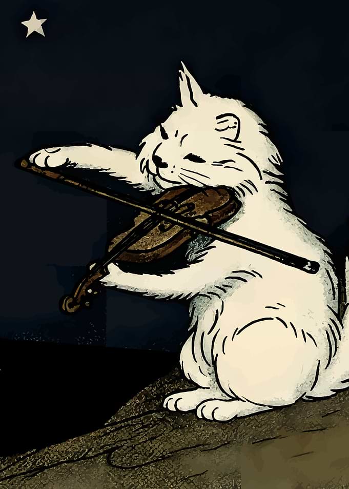 Cat playing violin under the stars