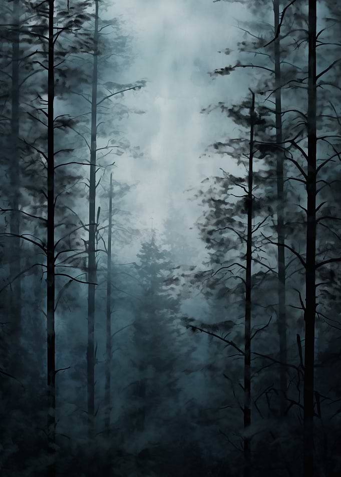 Misty Forest Landscape