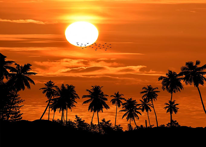 Tropical Sunset with Palm Trees Silhouette