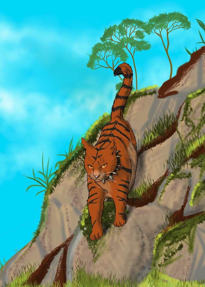 Orange Tabby Cat on a Hill