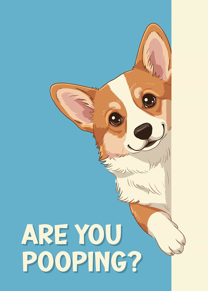 Corgi Peeking: Are You Pooping?