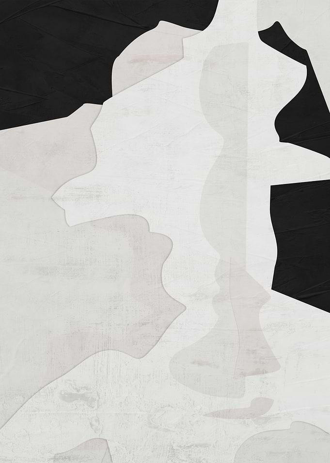 Abstract Shapes in Black and White