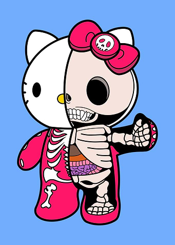 Hello Kitty Anatomy