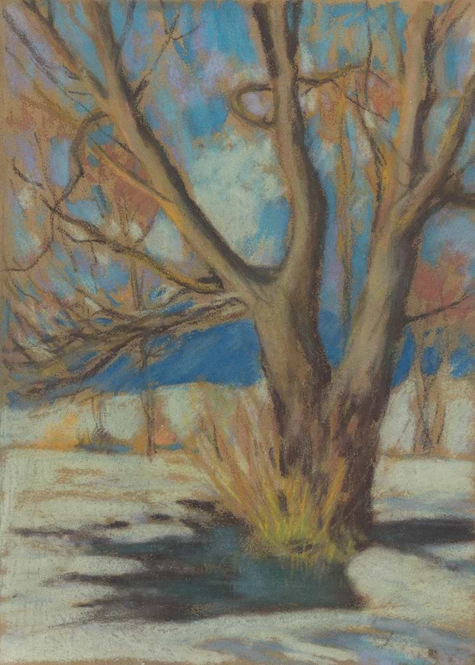 Pastel Drawing of a Tree in Winter