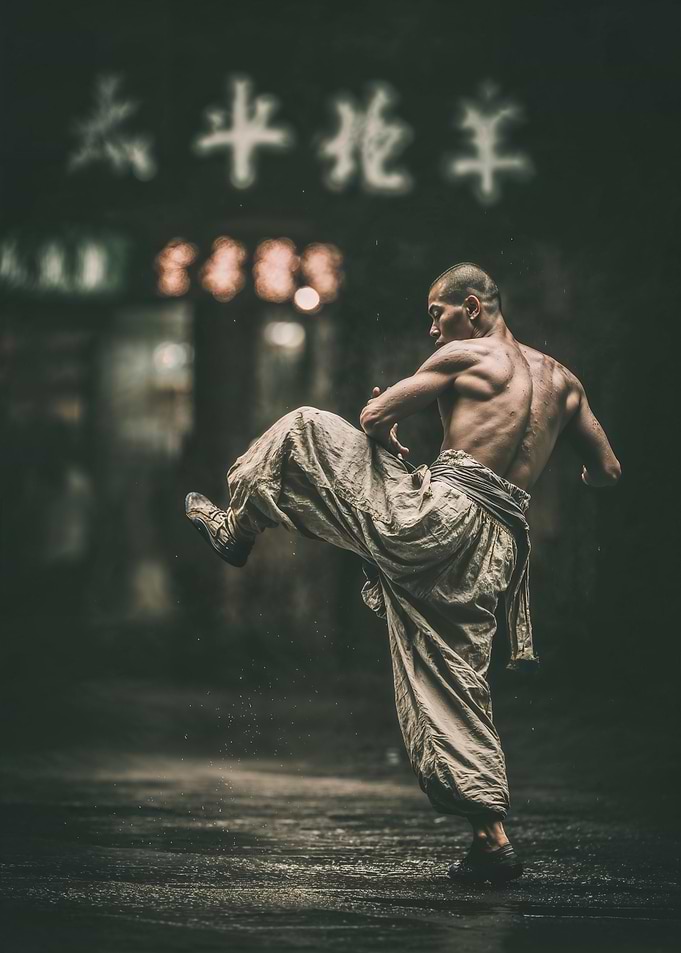 Martial Artist in Action