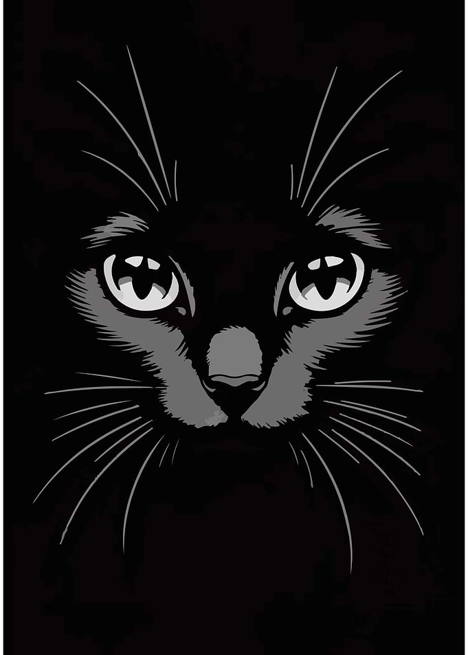 Black Cat Face Illustration