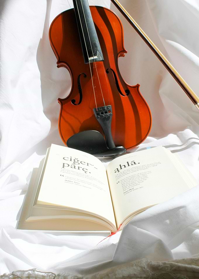 Violin and Open Book Still Life