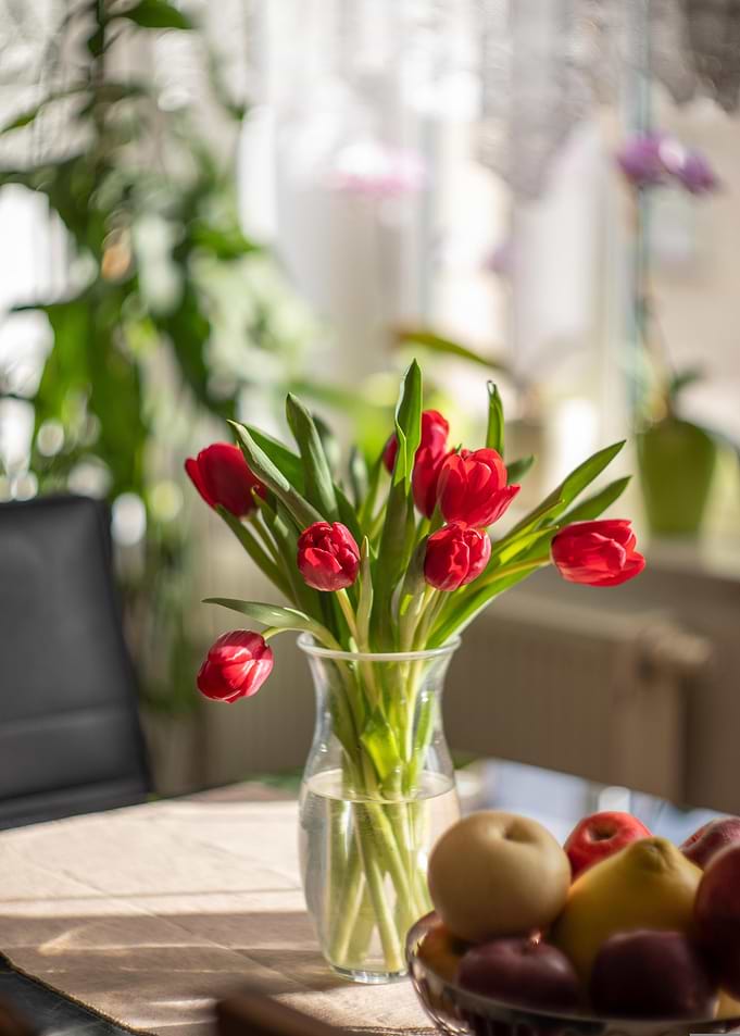 Red Tulips in Vase with Fruit