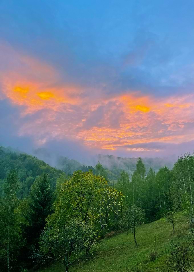 Sunset over misty forest landscape