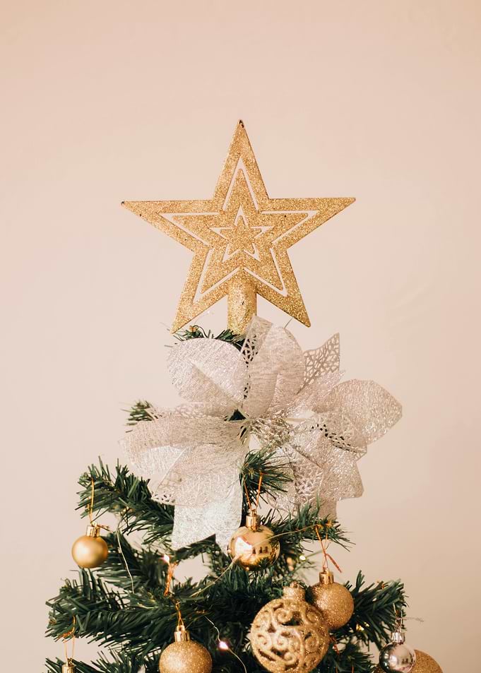 Christmas Tree with Gold Star Topper