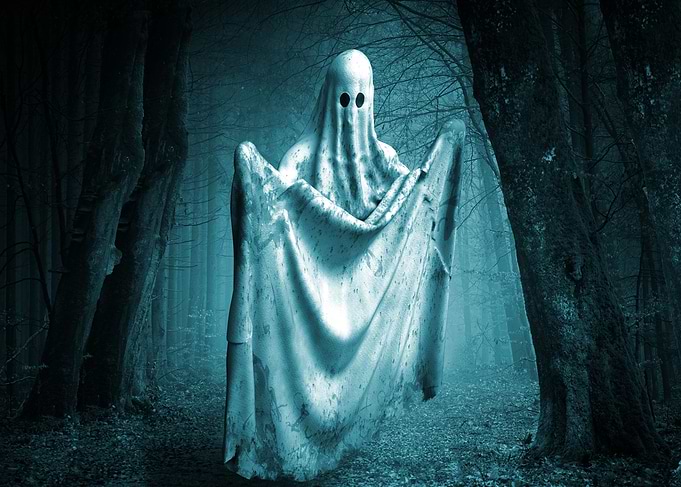Ghost in the Woods