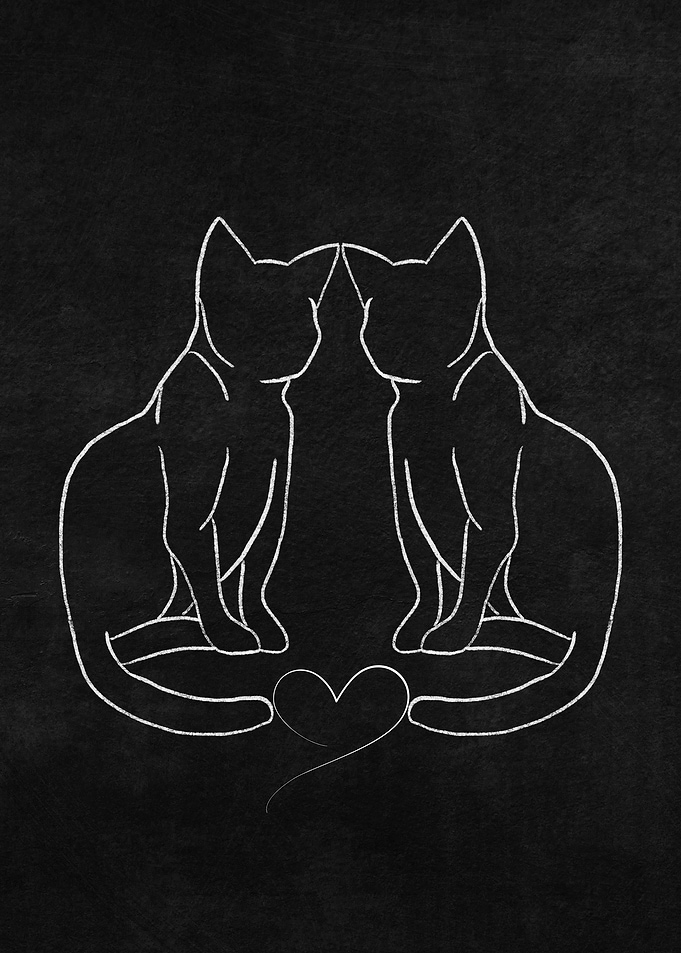 Two Cats with Heart Line Art