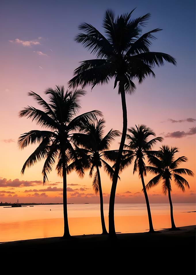 Florida Breeze Poster