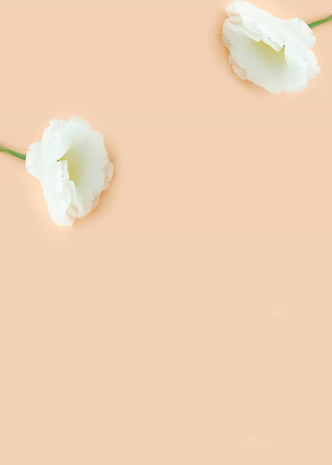 White Flowers on Peach Background