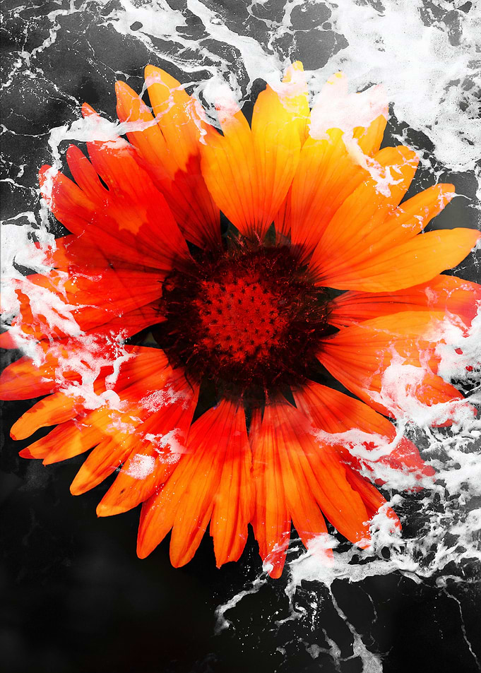 Abstract Orange Flower Collage