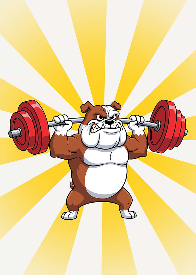 Cartoon Bulldog Weightlifting