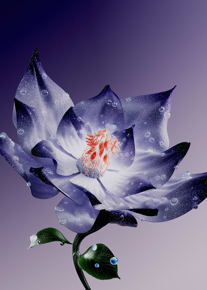 Blue Flower with Water Droplets